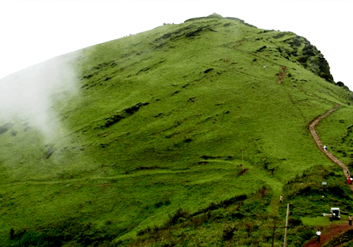 Stag Life Chickmagalore