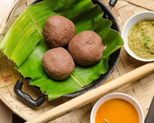 Stag Life Chikkamagaluru