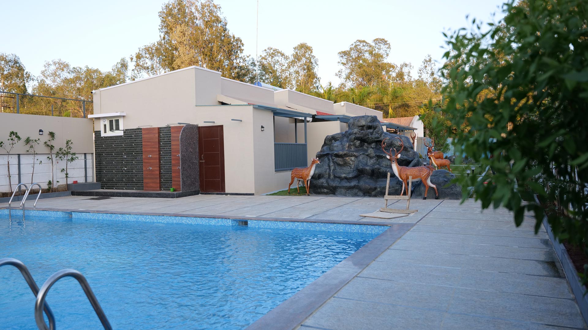 Stag Life Chikkamagaluru